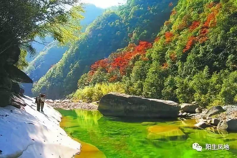 海底世界填颜色4