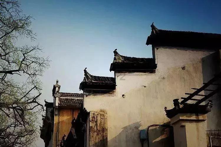 狐狸的旅程